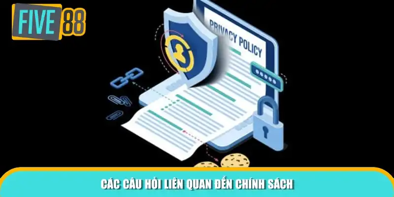 Các câu hỏi liên quan đến chính sách