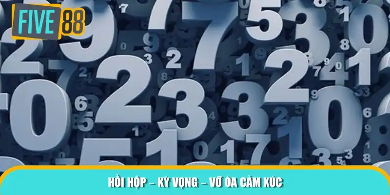 Hồi hộp , Kỳ vọng , Vỡ òa cảm xúc