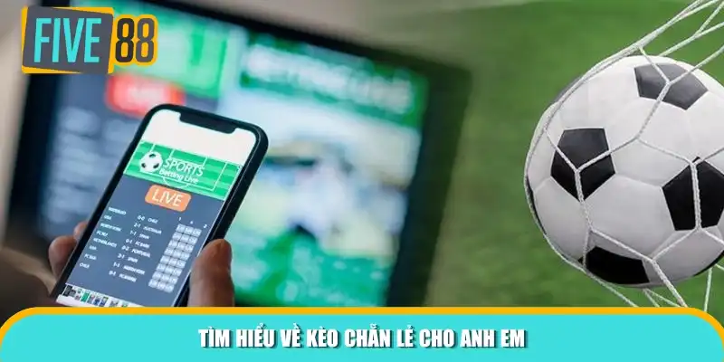 Tìm hiểu về kèo chẵn lẻ cho anh em