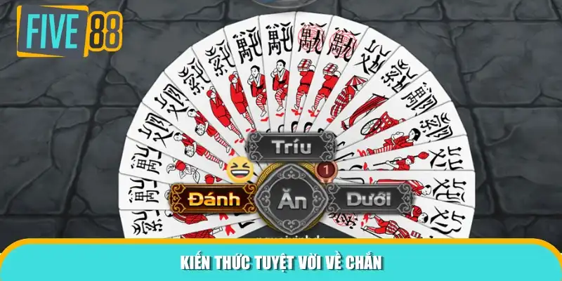 Kiến thức tuyệt vời về Chắn