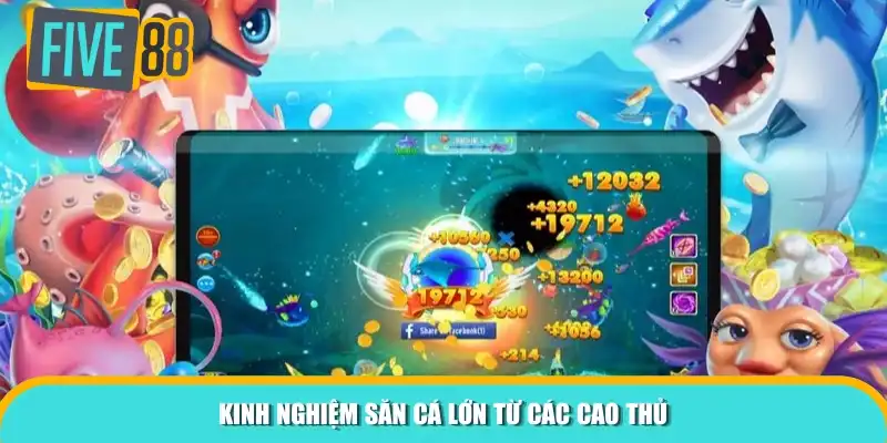 Kinh nghiệm săn cá lớn từ các cao thủ