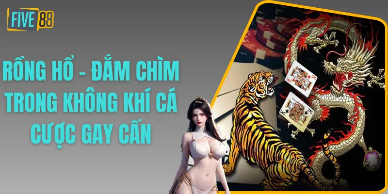 Rồng Hổ - Đắm Chìm Trong Không Khí Cá Cược Gay Cấn